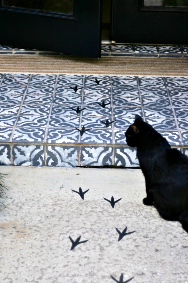 black cat on front porch 